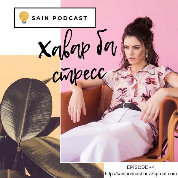 Хавар, ядаргаа, стрессээс хэрхэн урдчилан сэргийлэх вэ?